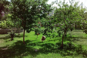 Sunny garden studio